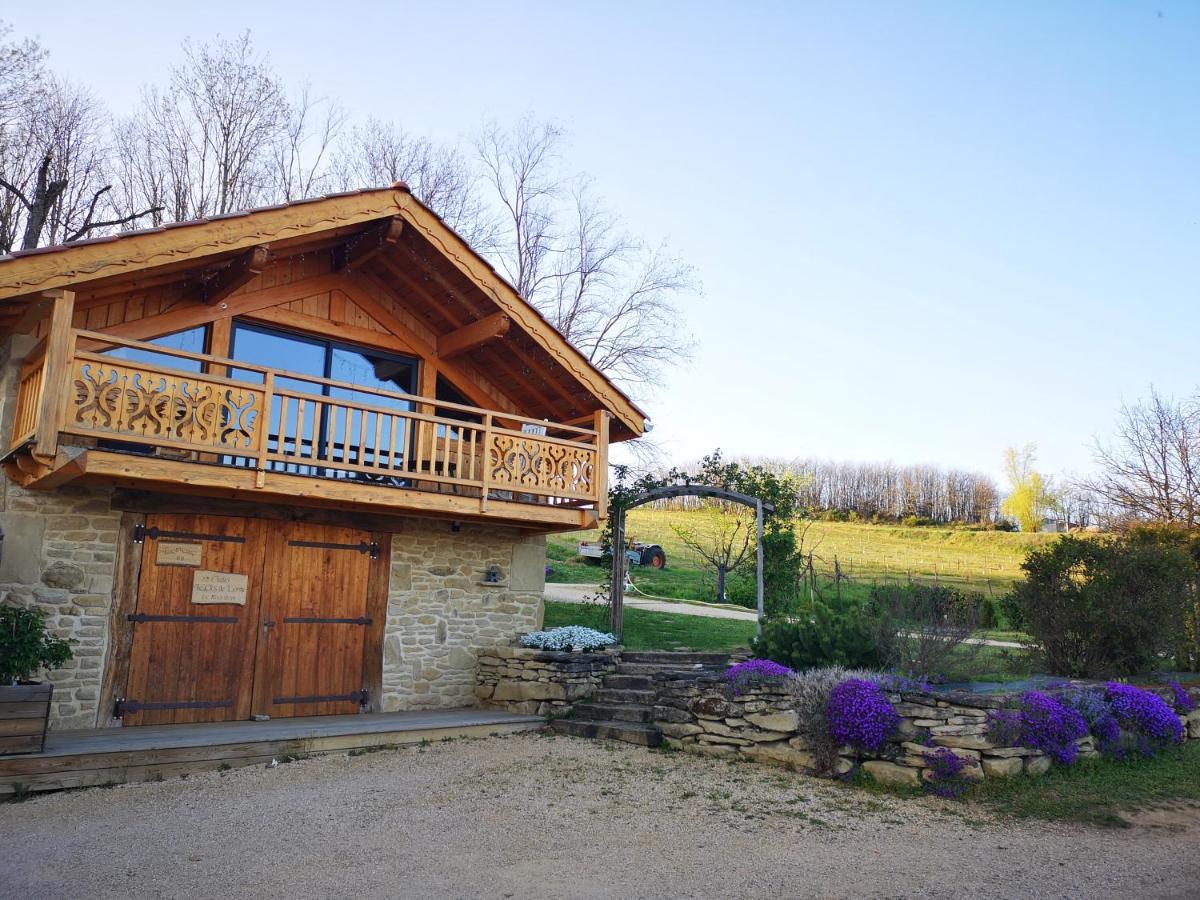 Chalet Le Clos De L'Orme Saint-Lattier Екстер'єр фото